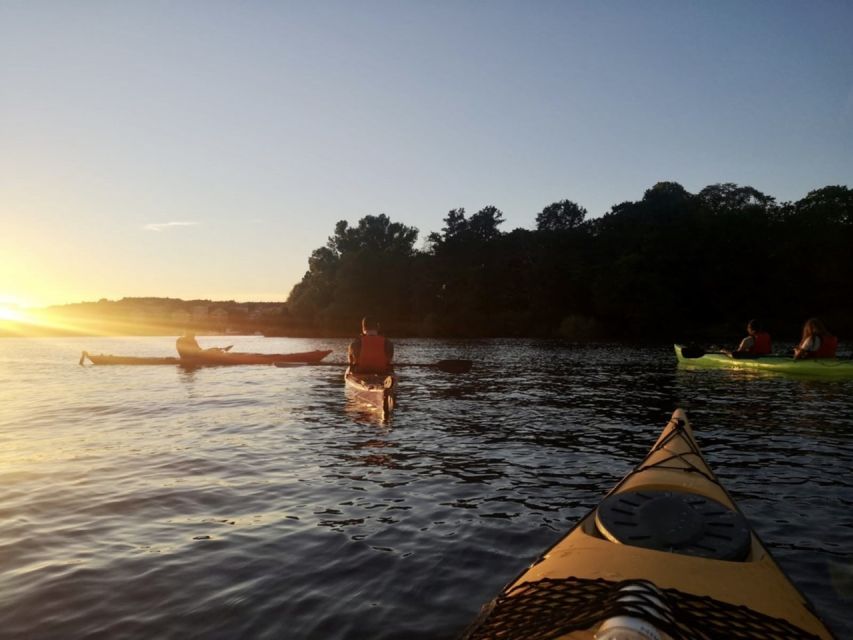 Stockholm: Sunset Kayak Tour in the City + Swedish Fika - Who will enjoy this tour most