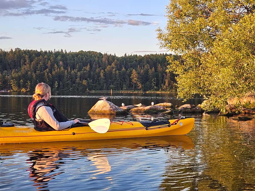 Stockholm: Sunset Kayak Tour on Lake Mälaren with Tea & Cake - Practical details to know before you go