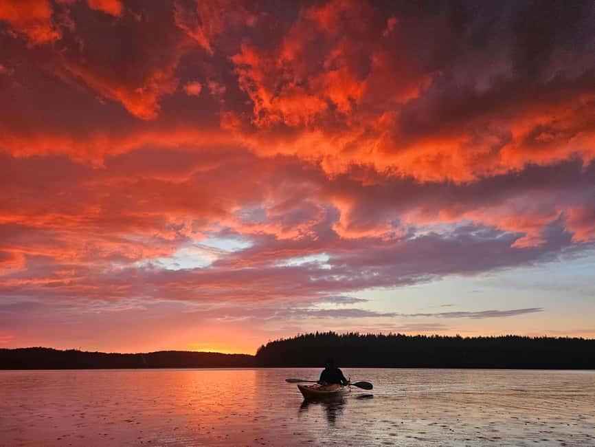 Stockholm: Sunset Kayak Tour on Lake Mälaren with Tea & Cake - Getting from central Stockholm to the launch point