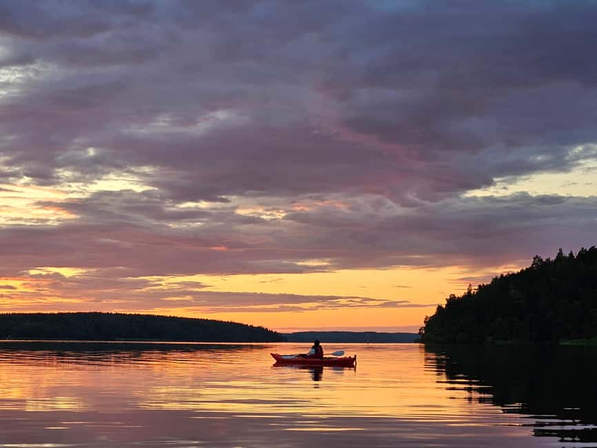 Stockholm: Sunset Kayak Tour on Lake Mälaren with Tea & Cake - The twilight search for beavers