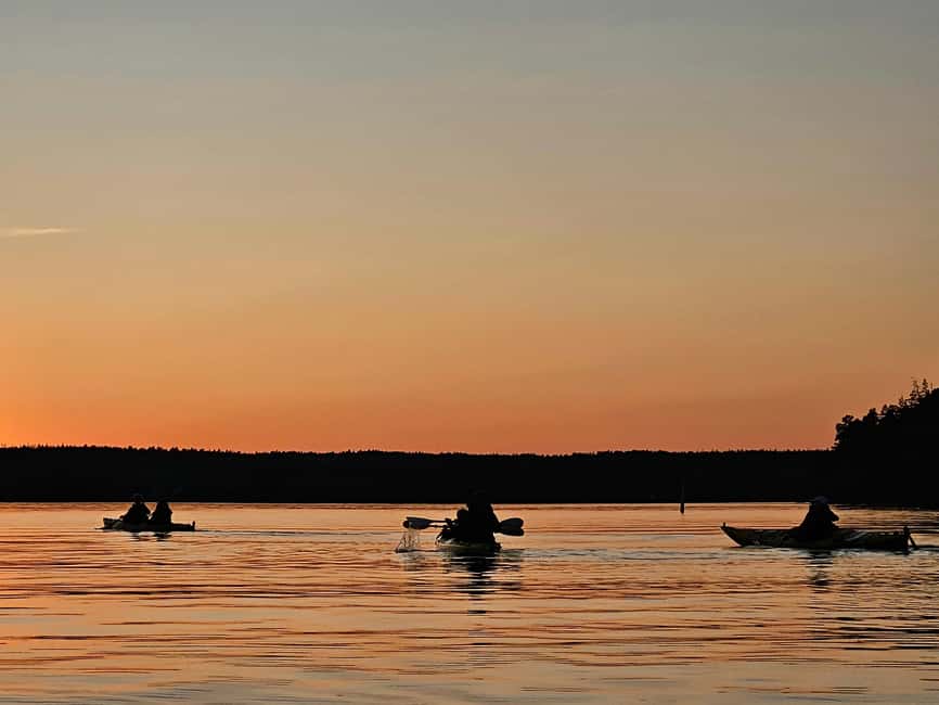 Stockholm: Sunset Kayak Tour on Lake Mälaren with Tea & Cake - What the $109 price really covers