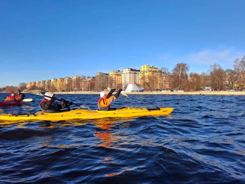 Stockholm: Winter Kayaking Tour through the City Centre - Is $134 a fair price?