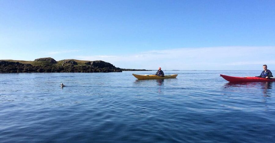 Stykkishólmur: 2-Hour Sea Kayak Tour - Key points for your two hours on the bay
