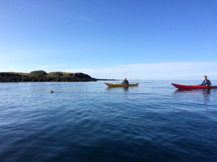 Stykkishólmur: 2-Hour Sea Kayak Tour - Shipwrecks and the story of the Thorgeir