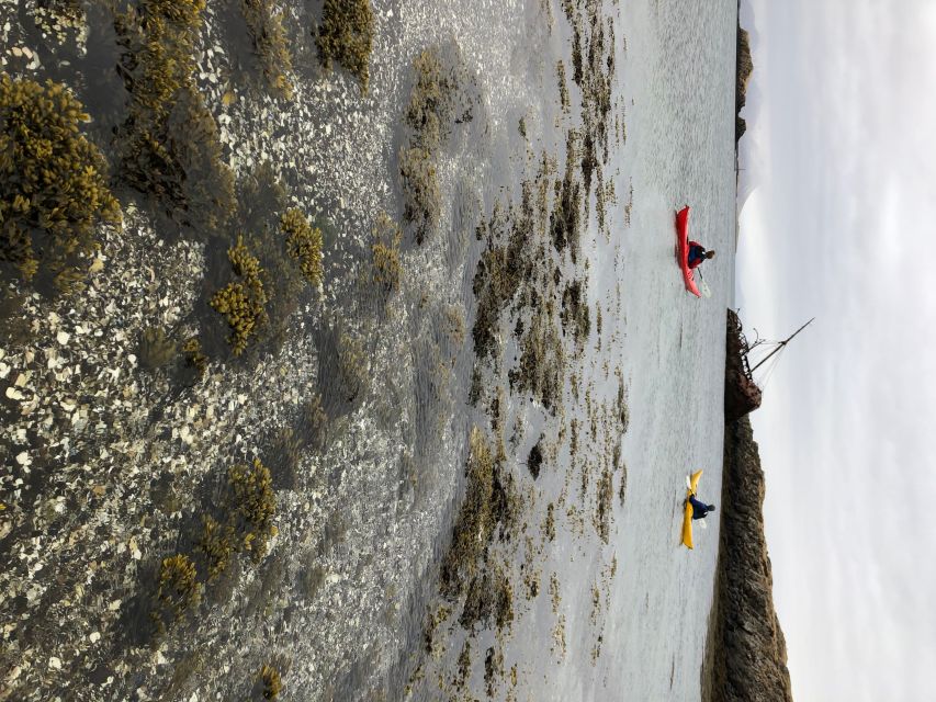 Stykkishólmur: 2-Hour Sea Kayak Tour - Threading between the islands