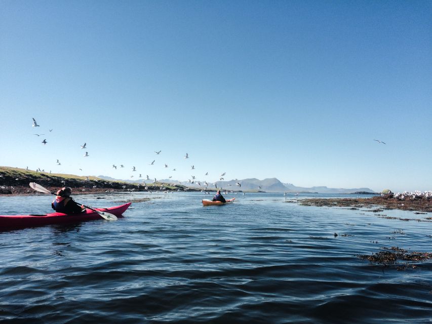 Stykkishólmur: 2-Hour Sea Kayak Tour - Paddling toward Landey and the open bay