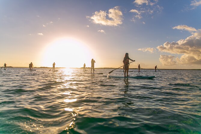 Sunrise by Paddle or Kayak with Floating Picnic - Stretching, safety, and choosing your equipment