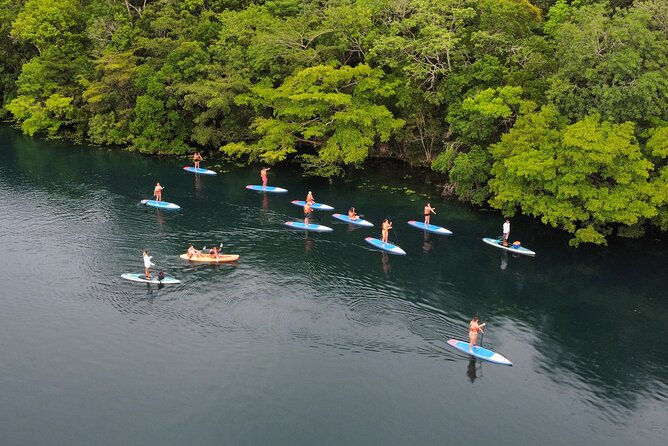 Sunrise by Paddle or Kayak with Floating Picnic - The bird sanctuary and floating picnic