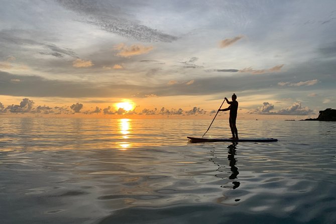 Sunrise Stand Up Paddleboard (SUP) Tour in Koh Samui - Your first lesson on the paddleboard
