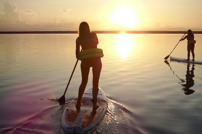 Sunrise Tour (Stand Up Paddle or Kayak) - Meeting at TROPIC BACALAR at 6:00 am