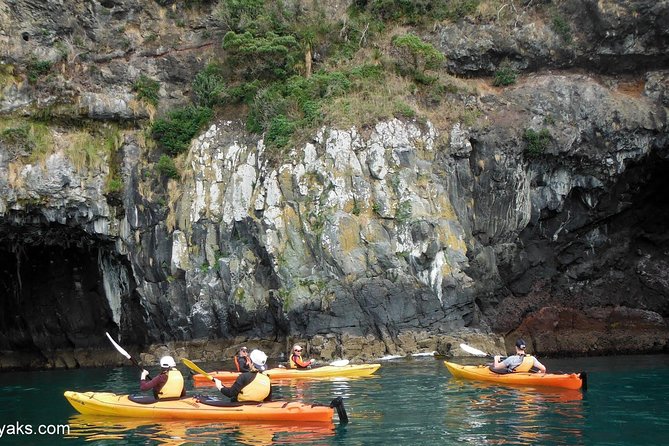 Sunrise wildlife sea kayaking in Akaroa marine reserve - Why the 7:30 am start matters