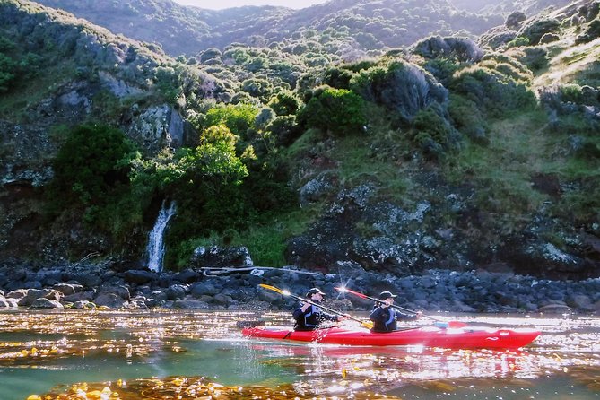 Sunrise wildlife sea kayaking in Akaroa marine reserve - Setting out inside an extinct volcanic basin