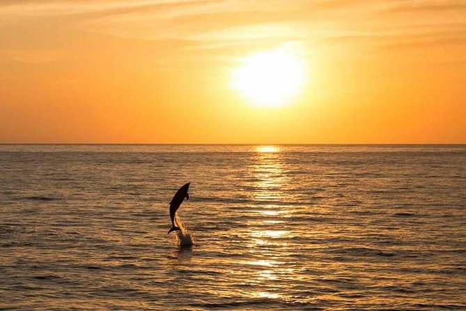 Sunset Beach Hopping Cruise, Cala Comte and Cala Bassa, SUP and snorkelling - Food and drinks: useful, but not a full dinner