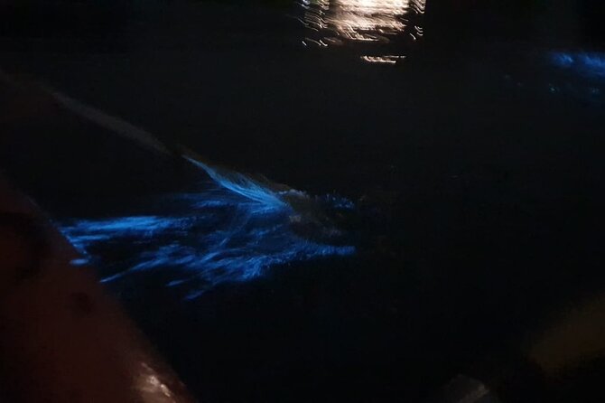 Sunset & Bioluminescent Plankton Kayaking Lan Ha bay - From Cat Ba to Cai Beo floating village