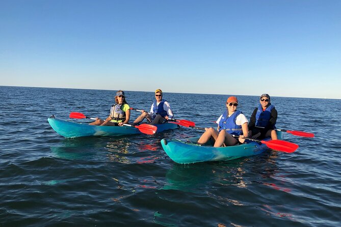 Sunset Dolphin Kayak Tours - What the $68 price includes