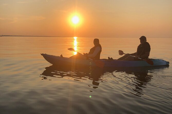 Sunset Dolphin Kayak Tours - Should you book the Sunset Dolphin Kayak Tour?