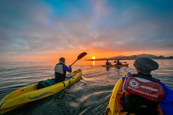 Sunset Kayak Tour in Santa Barbara Harbor (2 Hours) - Wildlife sightings depend on conditions