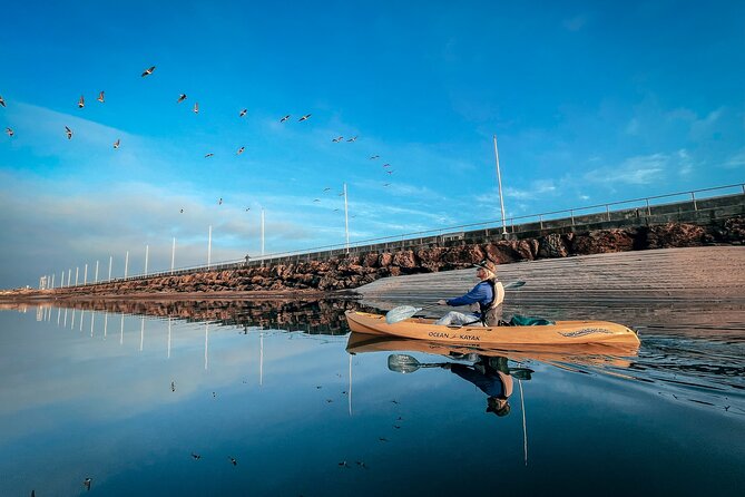 Sunset Kayak Tour in Santa Barbara Harbor (2 Hours) - Stearns Wharf from water level