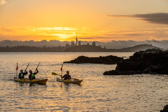 Sunset kayak tour to Rangitoto Island - Dinner on Rangitoto is more useful than fancy