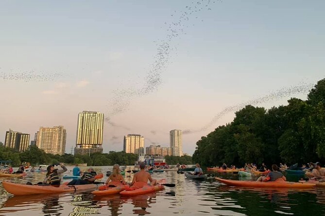 Sunset Skyline Kayak Tour - Reaching Congress Avenue Bridge and watching the bats