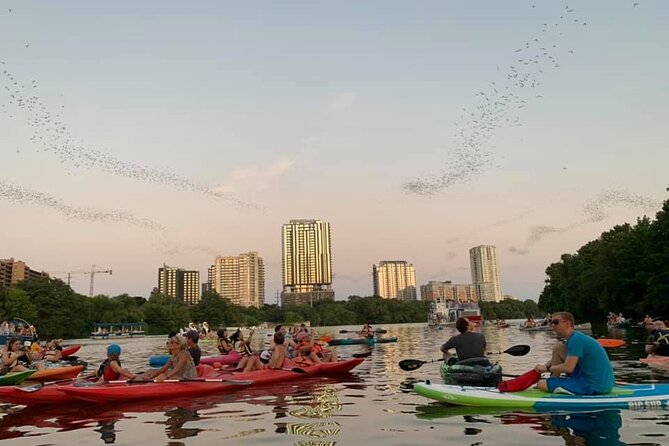 Sunset Skyline Kayak Tour - The equipment and what you need to bring