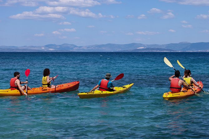 Supetar-Postira kayaking - Pine, olive groves, and old dry walls