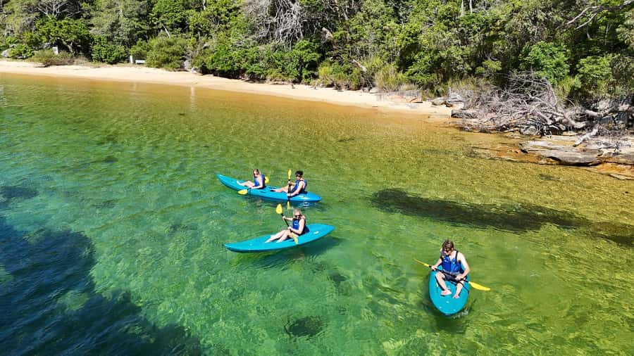 Sydney: Guided Kayak Taster Tour from Manly - Key points to know before booking
