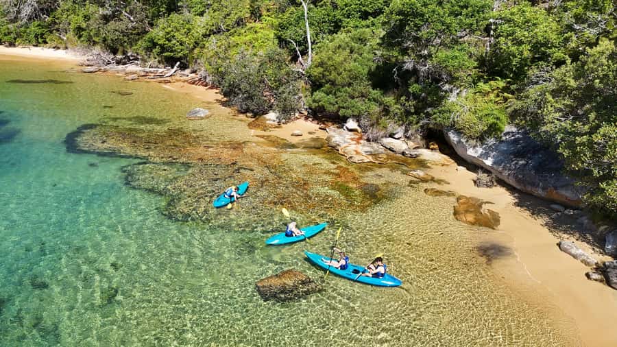 Sydney: Guided Kayak Taster Tour from Manly - Paddling along Manly’s shoreline