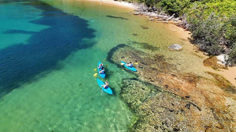 Sydney: Guided Kayak Taster Tour from Manly - Store Beach: the real reward of the outing