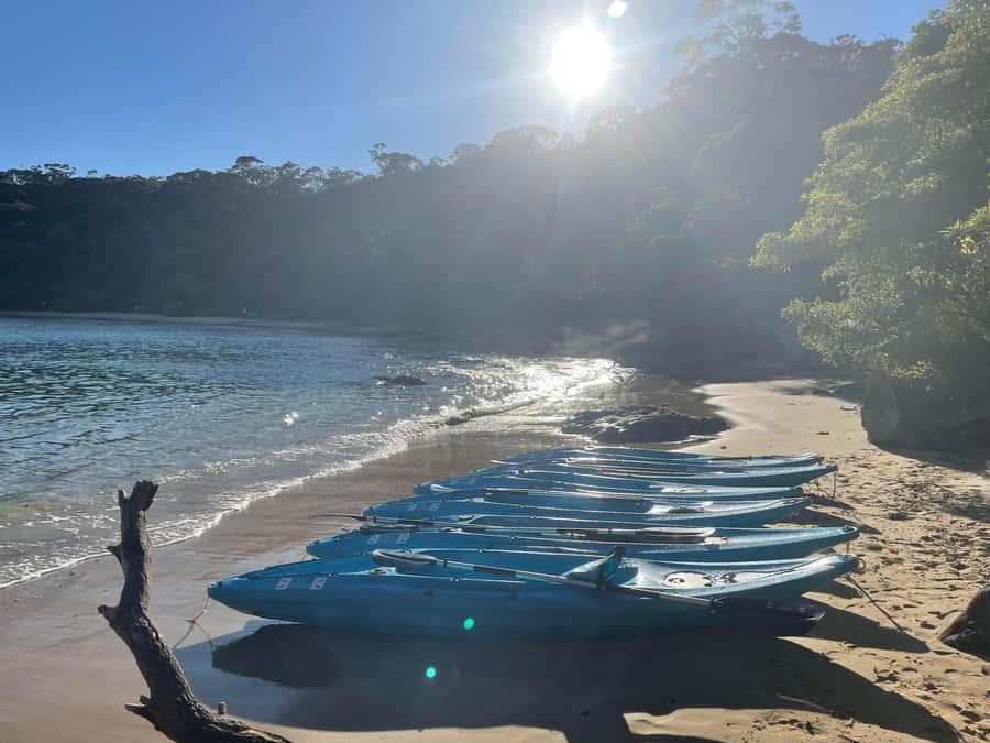 Sydney: Guided Kayak Taster Tour from Manly - The return trip and the unusual tow option