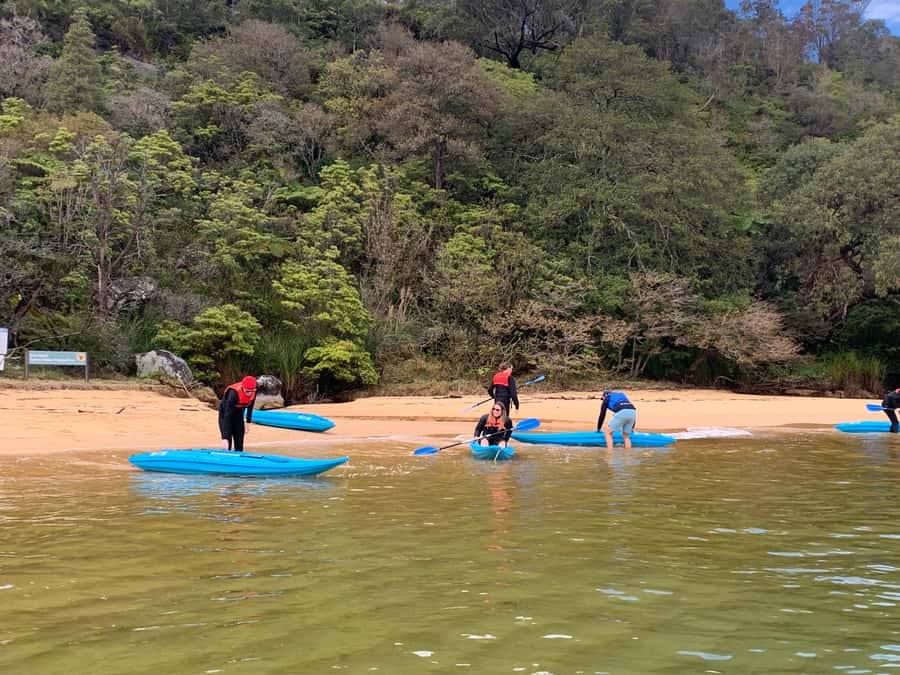 Sydney: Guided Kayak Taster Tour from Manly - What $46 includes, and where the value lies