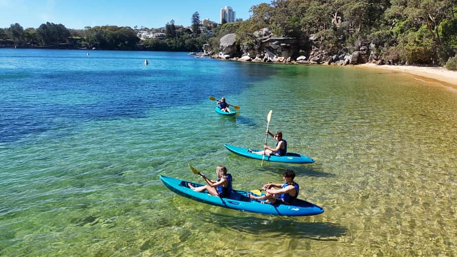 Sydney: Guided Kayak Taster Tour from Manly - Who will enjoy this Manly kayak trip