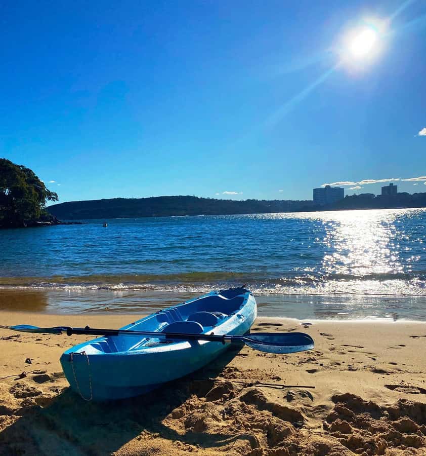 Sydney: Guided Kayak Taster Tour from Manly - Should you book this Manly kayak tour?