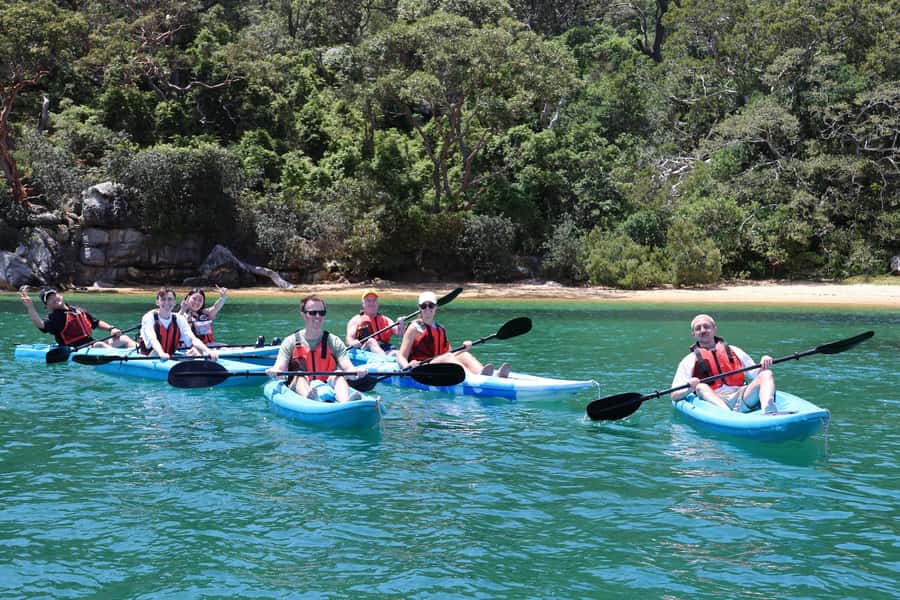 Sydney: Guided Kayak Tour of Manly Cove Beaches - What this Manly Cove paddle is really like