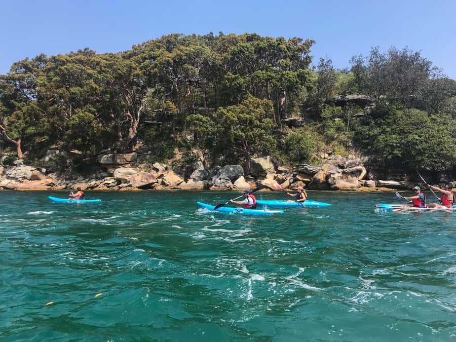 Sydney: Guided Kayak Tour of Manly Cove Beaches - Paddling away from Manly Sailing