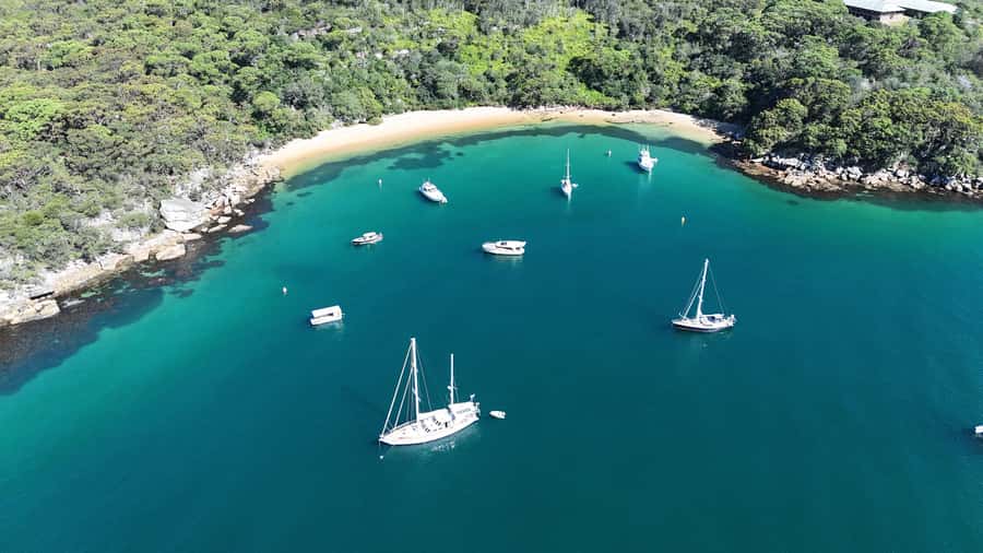 Sydney: Guided Kayak Tour of Manly Cove Beaches - Practical limits you should take seriously