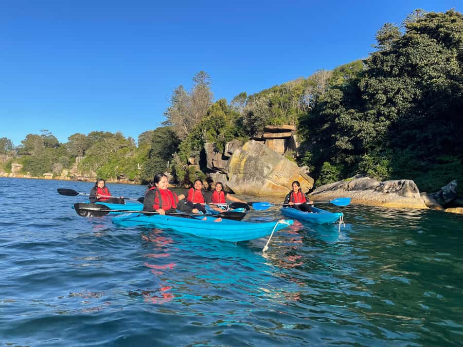 Sydney: Guided Kayak Tour of Manly Cove Beaches - Who should book this tour?