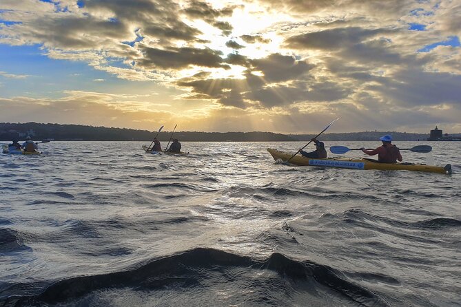 Sydney Harbour Bridge Kayak & Breakfast Tour - Paddling beneath the Harbour Bridge