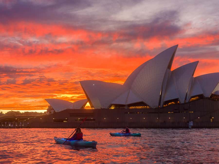 Sydney: Harbour Sunrise Kayak Tour - Should you book it?
