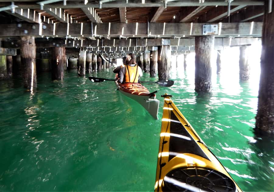 Sydney: Kayak to Goat Island At The Heart of Sydney Harbour - The return route and the Sydney Fish Markets