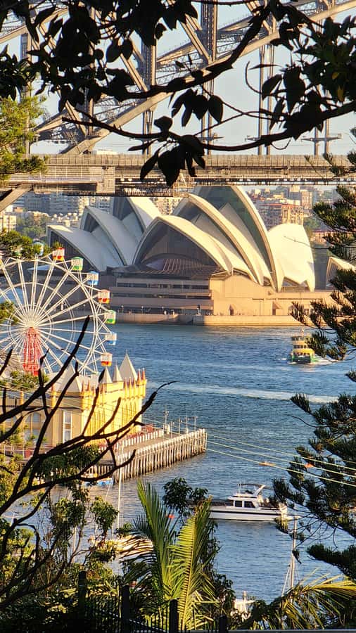Sydney: Opera & Harbour Bridge Small-Group Kayak Tour - Why Sydney looks better from a kayak