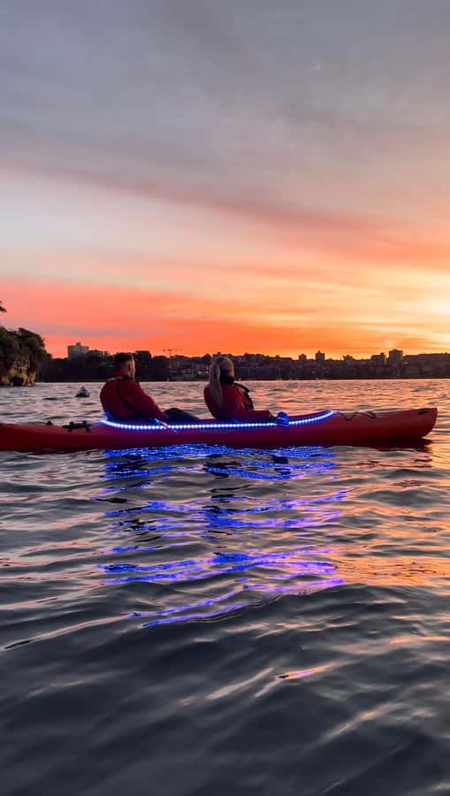 Sydney: Sunrise Kayak, Opera House & Under Harbour Bridge - Photos and videos without carrying the whole job