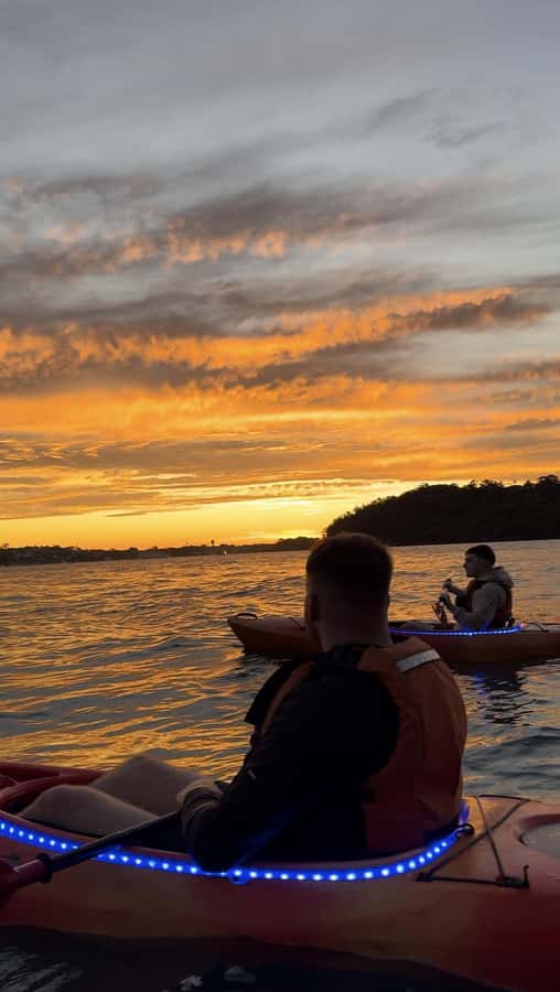 Sydney: Sunset Kayak Tour on Sydney Harbour - The photos are part of the value