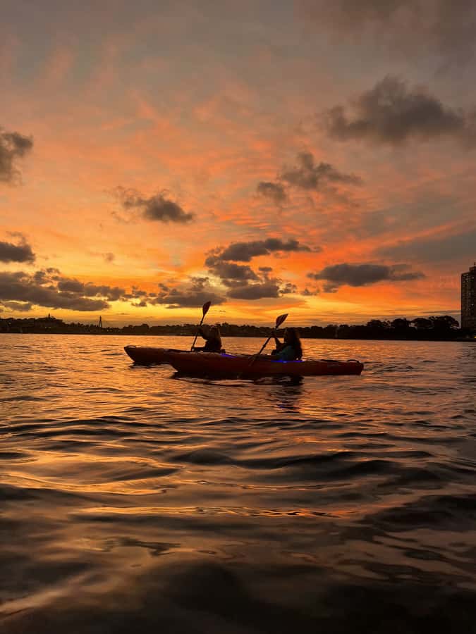 Sydney: Sunset Kayak Tour on Sydney Harbour - Is $105 a fair price?