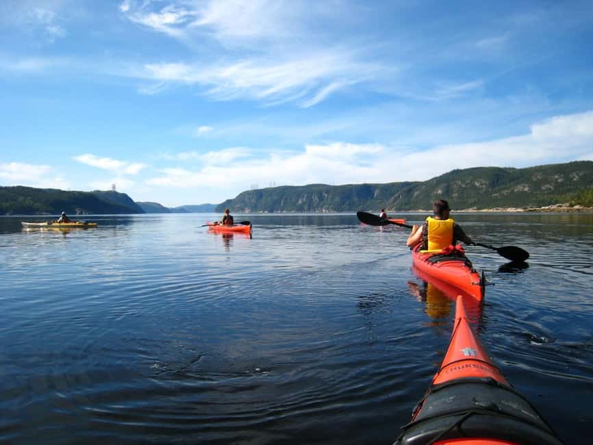 Tadoussac: Guided Sea Kayaking Adventure - What the $58 Price Delivers
