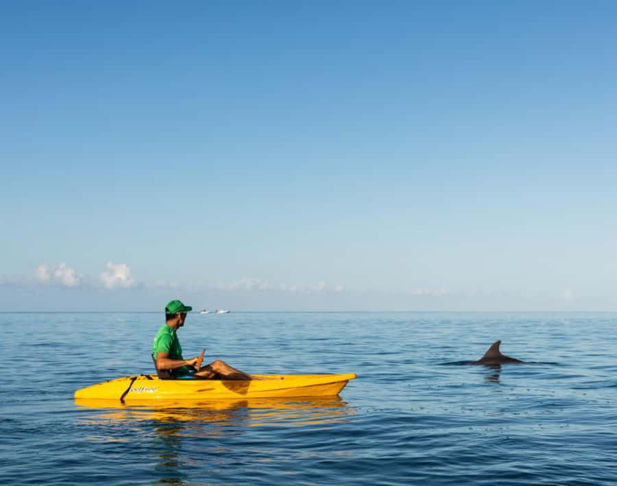Tamarin: Guided Kayak Tour with Dolphins - Looking for spinner and bottlenose dolphins