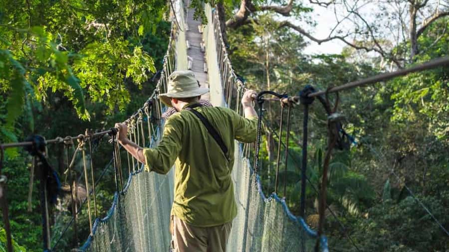 Tambopata: Zipline Adventure & Kayak to Monkey Island - Two 190-meter zip lines through the canopy