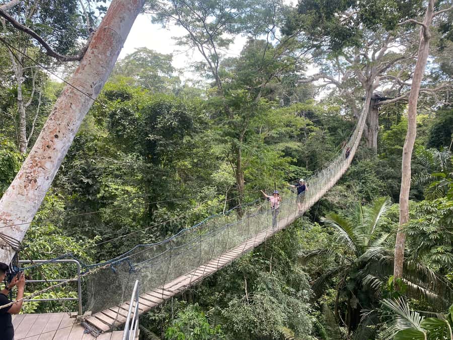 Tambopata: Zipline Adventure & Kayak to Monkey Island - Monkey Island and the close-up animal encounter