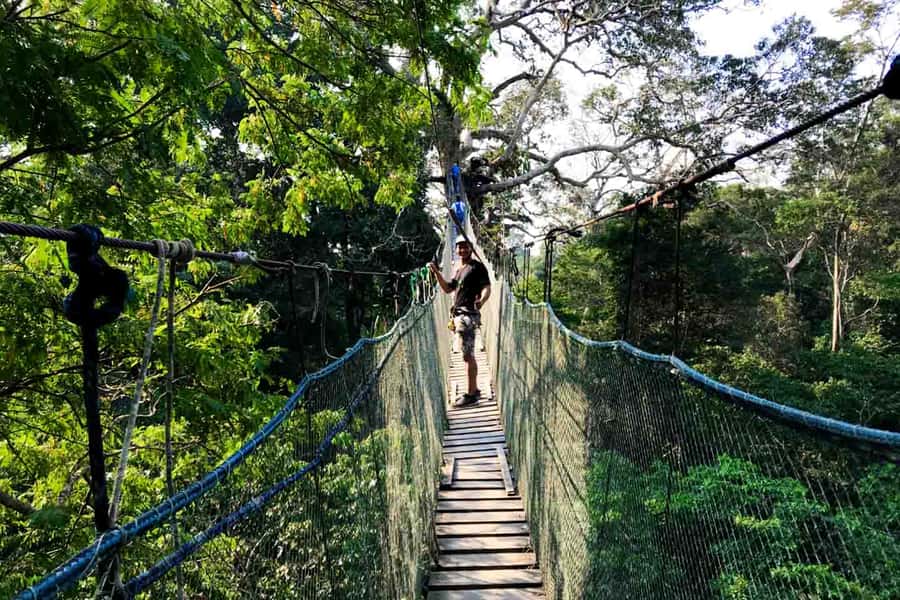Tambopata: Zipline Adventure & Kayak to Monkey Island - What the $59 price really covers