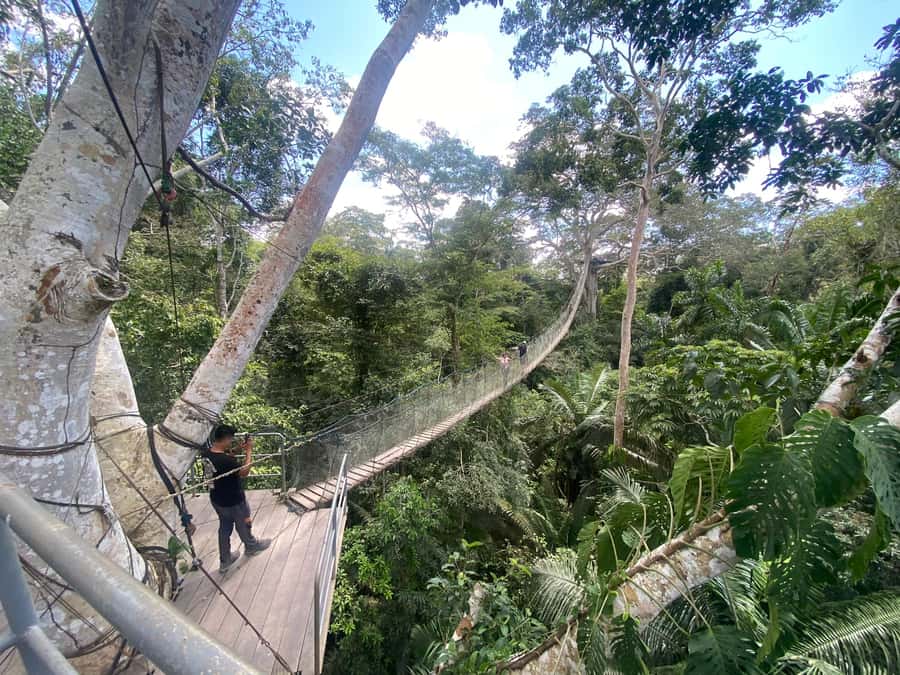 Tambopata: Zipline Adventure & Kayak to Monkey Island - Who should book this Amazon day?